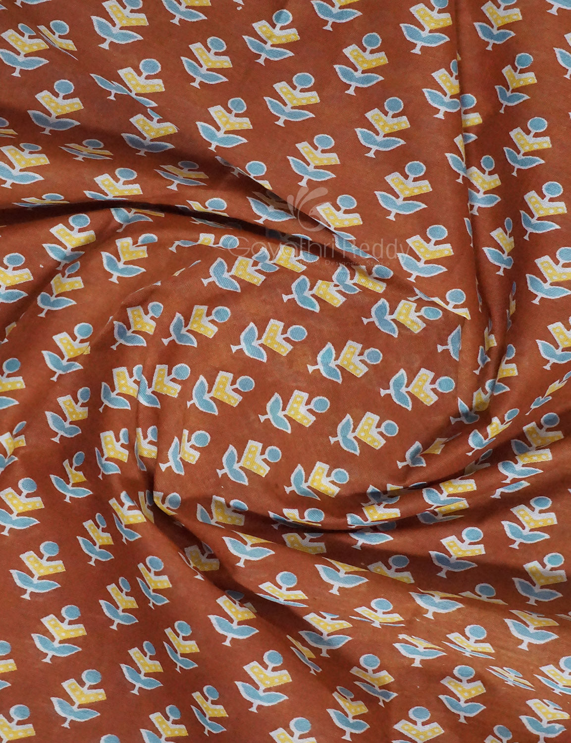 Rust Colour Bagroo Print Pure Mulmul Cotton Saree By Gayathri Reddy Designer Studio | Swadesiicart
