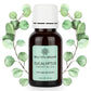 Bella Vita Organic Eucalyptus Essential Oil