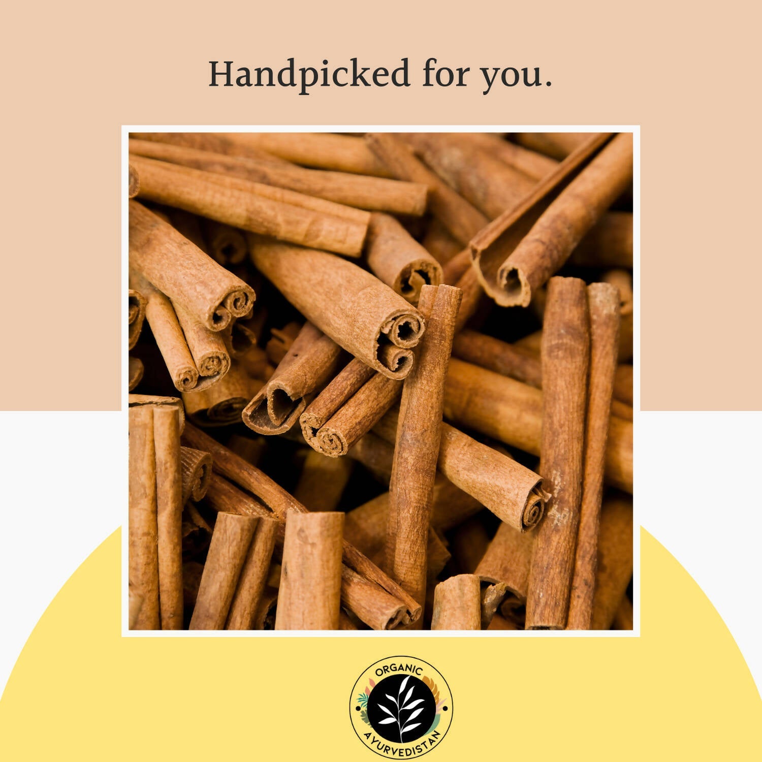 Organic Ayurvedistan Cassia Cinnamon Powder - Swadesiicart