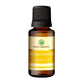 Korus Essential Evening Primrose Essential Oil - Therapeutic Grade - Just Jaivik