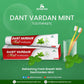 Benmoon Ayurveda Dant Vardan Mint Toothpaste - Swadesiicart