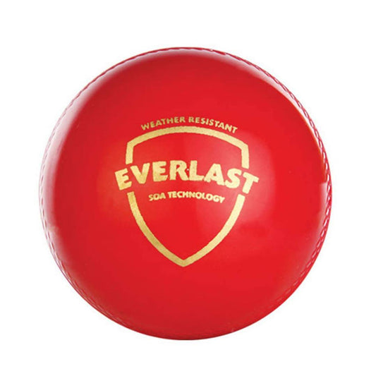 SG Everlast Leather Cricket Ball - Red
