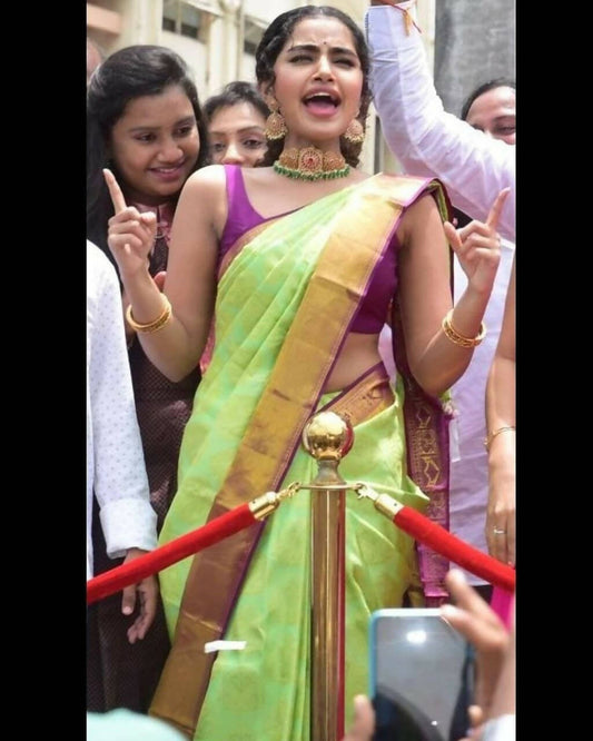 DEIANA'S Beautiful Designer Golden zari Soft Lichi Silk Saree - Pista - Swadesiicart