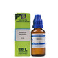 SBL Homeopathy Epiphegus Virginiana Dilution | Swadesiicart