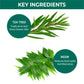 Nykaa Naturals Tea Tree & Neem Purifying Face Wash for Acne - Swadesiicart