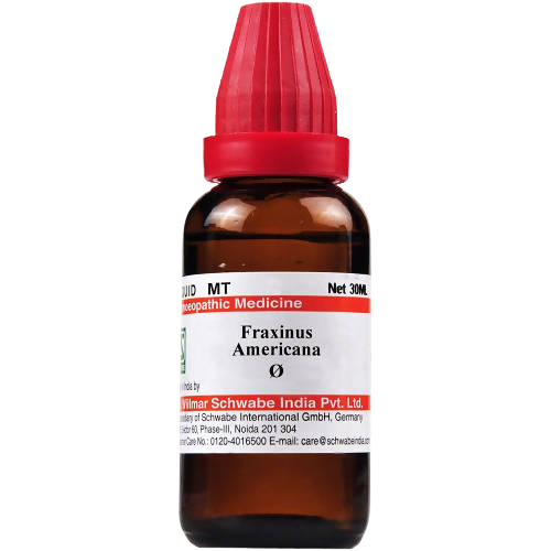 Dr. Willmar Schwabe India Fraxinus Americana Mother Tincture | Swadesiicart