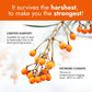 Nutriorg Sea Buckthorn Juice