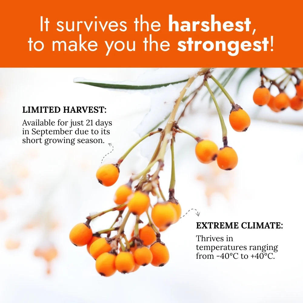 Nutriorg Sea Buckthorn Juice