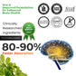 Health Veda Organics Ginkgo Biloba Capsules - Swadesiicart