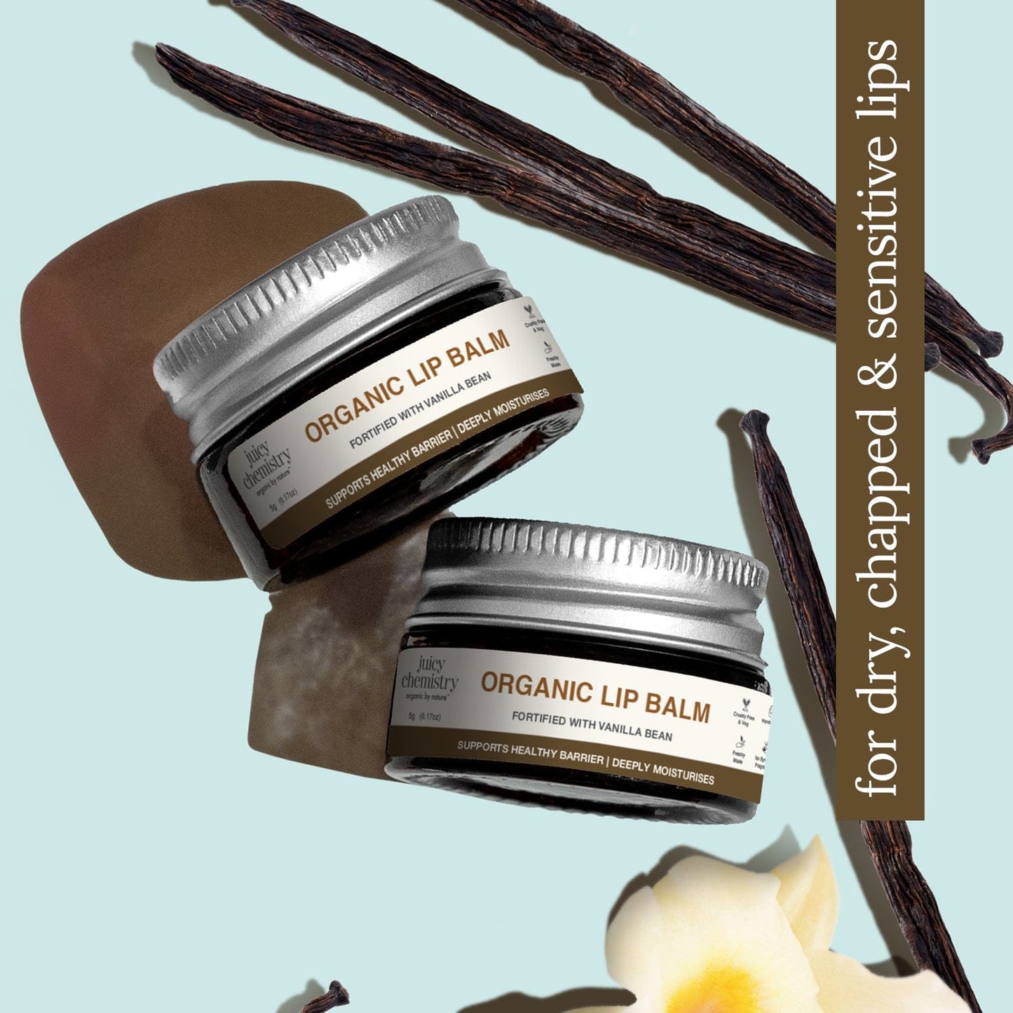 Organic Lip Balm Fortified with Vanilla Bean