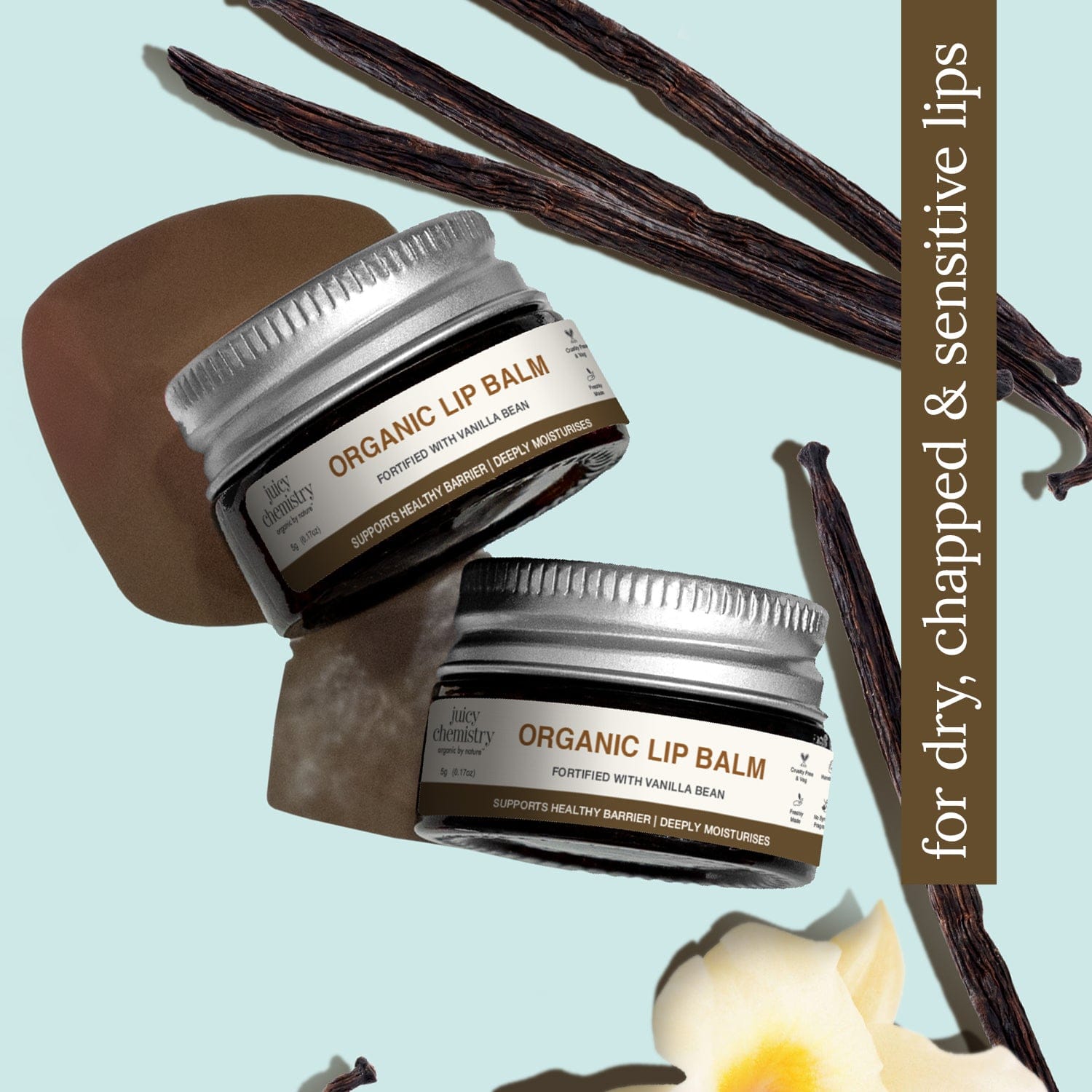 Organic Lip Balm Fortified with Vanilla Bean