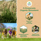 Psyllium Whole Husk Isabgol