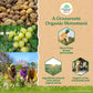 Triphala Capsules