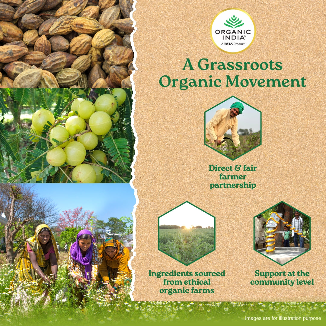 Triphala Capsules