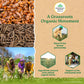 Turmeric Formula Capsules