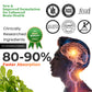 Health Veda Organics Plant Based Brain Booster Capsules - Swadesiicart