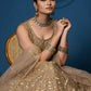 Brown Soft Netzari Embroidery Work Lehenga Choli - Jihu Culture
