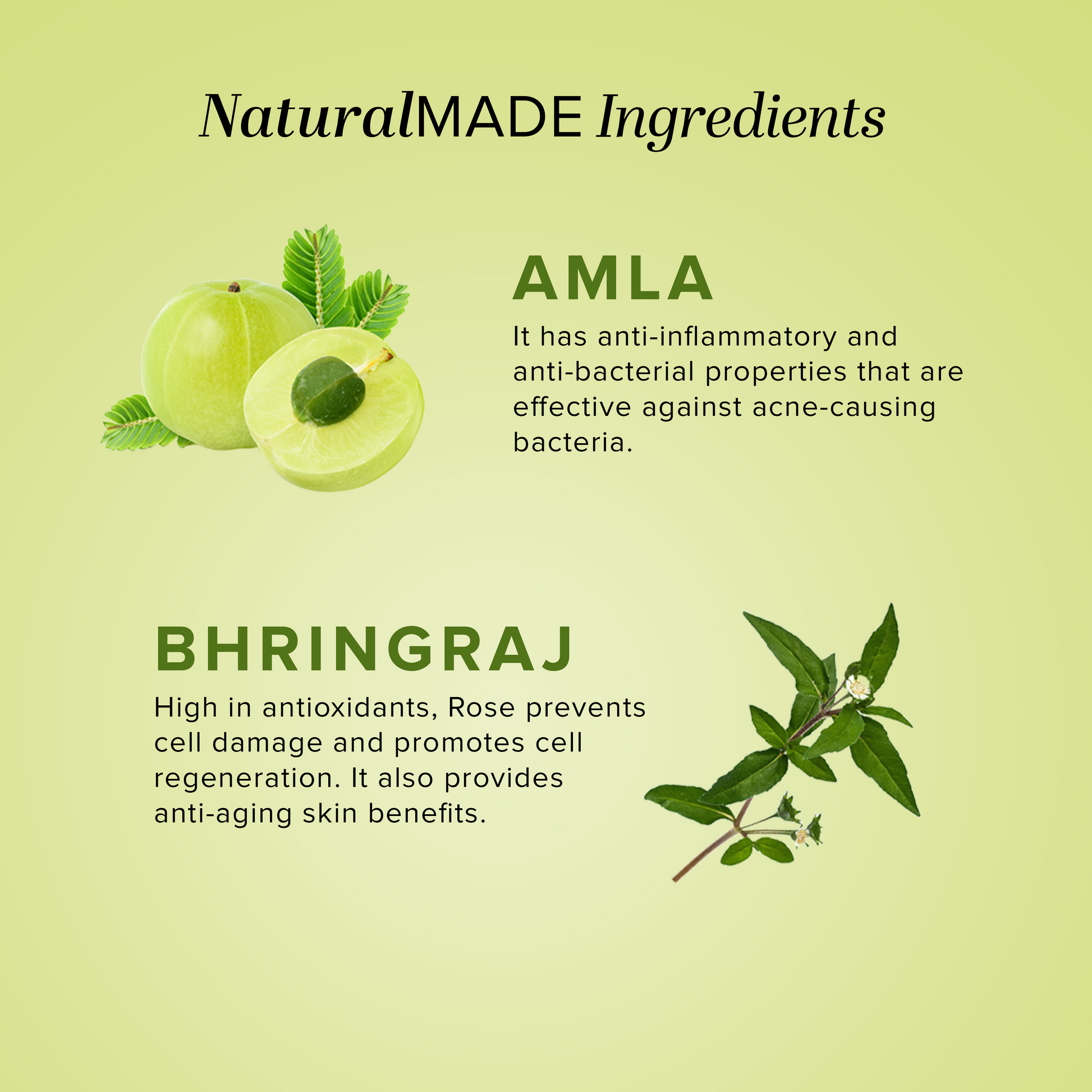 Khadi Natural Amla & Bhringraj Hair Cleanser - 210ml