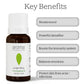 Aroma Treasures Juniper Berry Pure Essential Oil