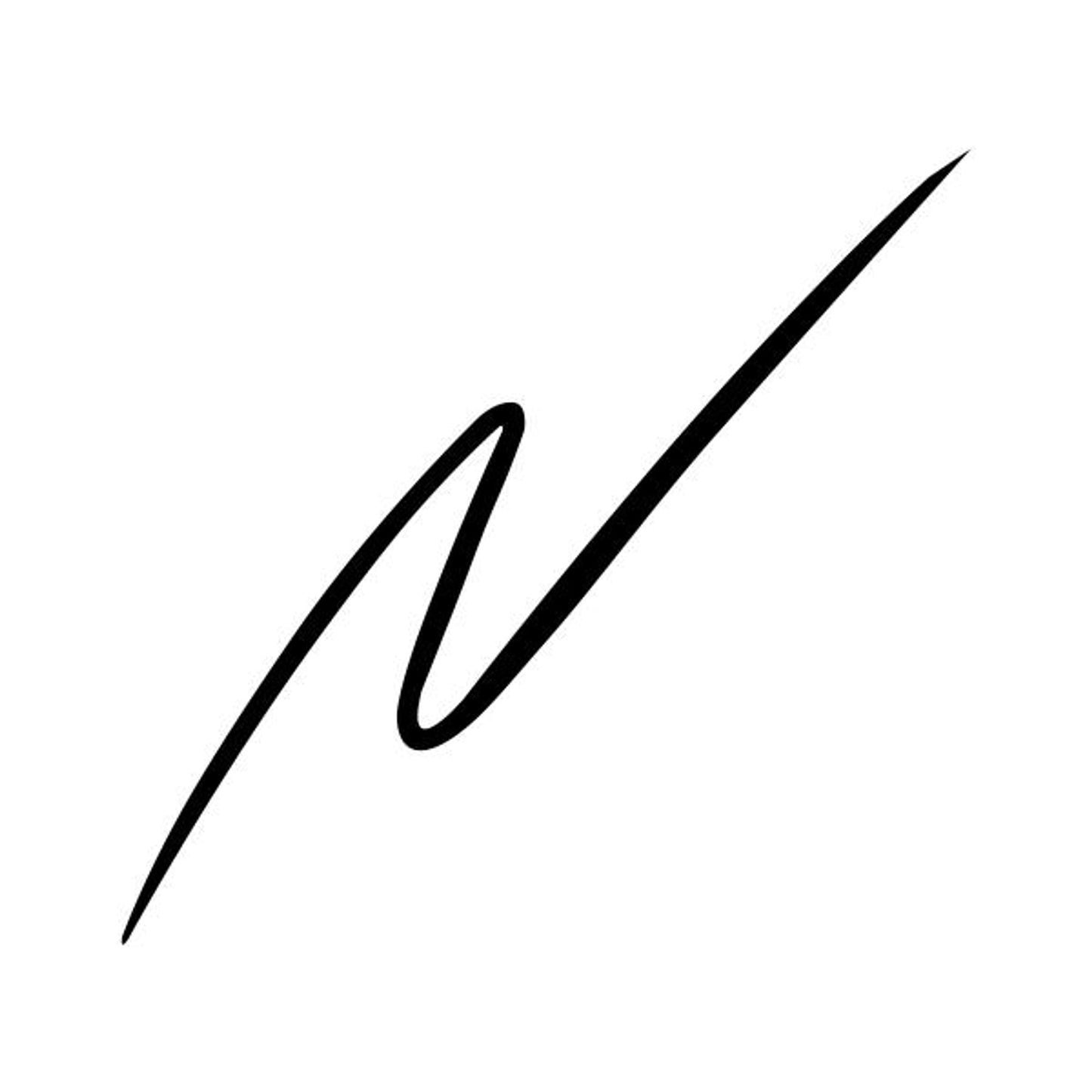 Matt Look Line Express Ultimate Precision Waterproof Smudge Proof Eyeliner - Black - Swadesiicart