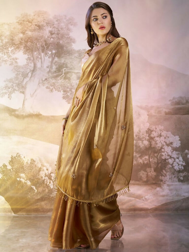 Brown Burberry Organza Solid Fancy Designer Saree - Nafisa