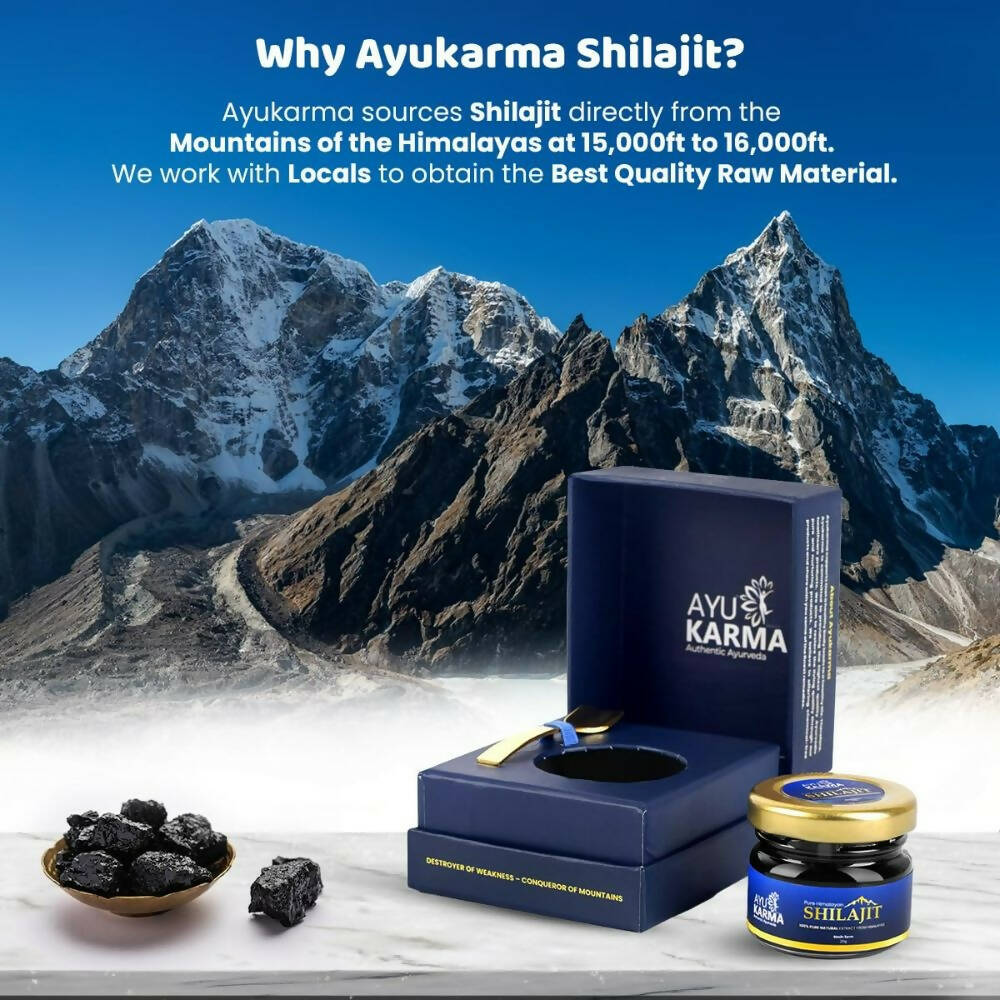 Ayukarma Ayurveda Pure Himalayan Sj Resin | Swadesiicart