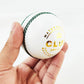 Prokick Club Four Piece Leather Cricket Ball - White - Swadesiicart