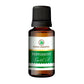 Korus Essential Peppermint Essential Oil - Therapeutic Grade - Just Jaivik