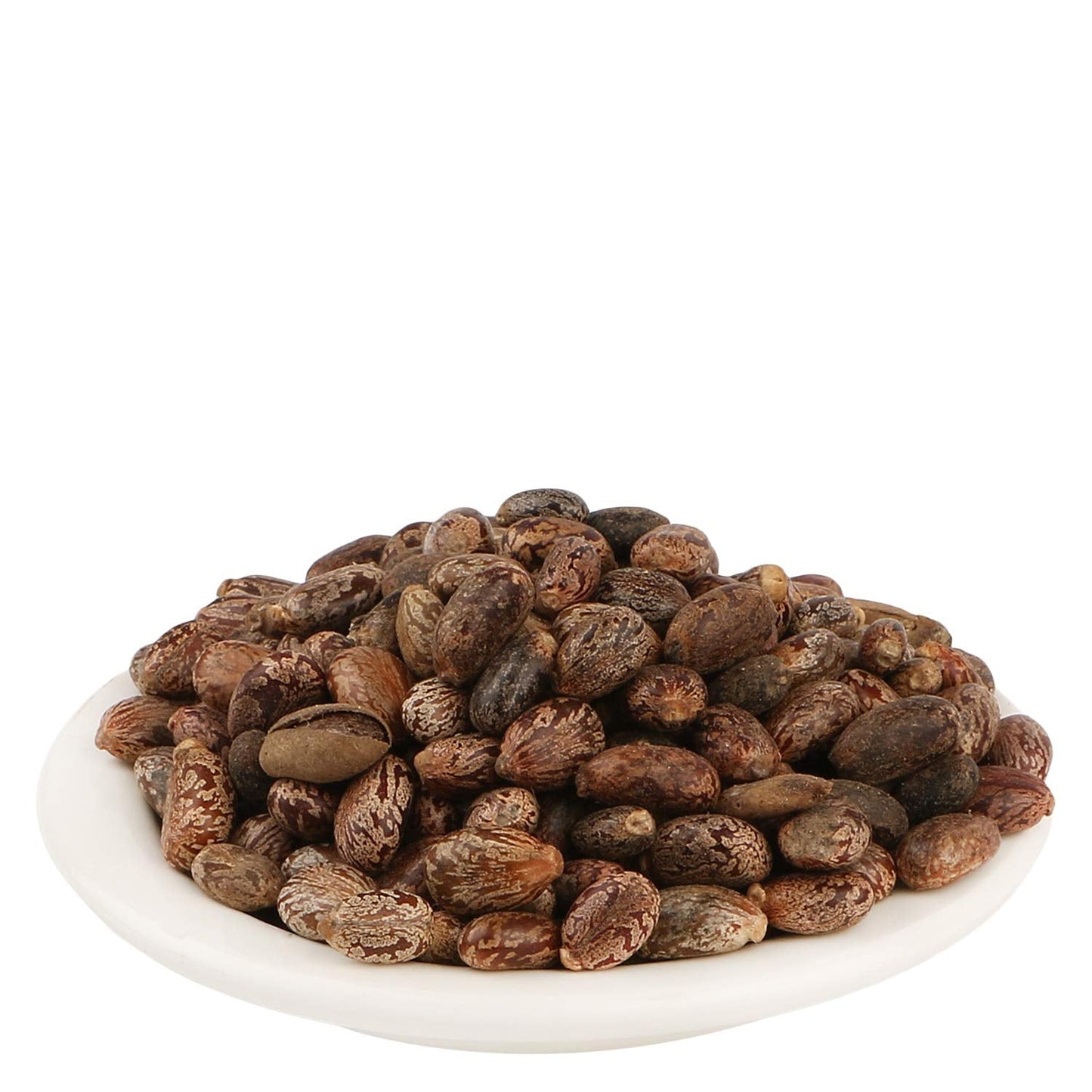 Yuvika Beej Arandi - Ricinus Communis Linn - Castor Seeds | Swadesiicart