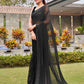 Tikhi Imli Black Striped Sequinned Saree | Swadesiicart