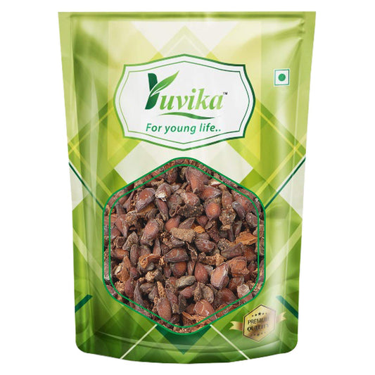 Yuvika Beedana - Pyrus Cydonia - Quince Seeds | Swadesiicart