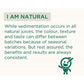 Vitro Naturals I Am Digestive Triphala+ Juice | Swadesiicart