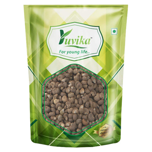 Yuvika Mushk Dana - Ambrette Seeds | Swadesiicart