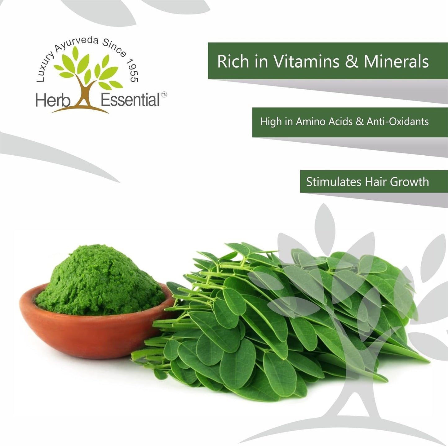 Herb Essential Moringa Powder - Swadesiicart