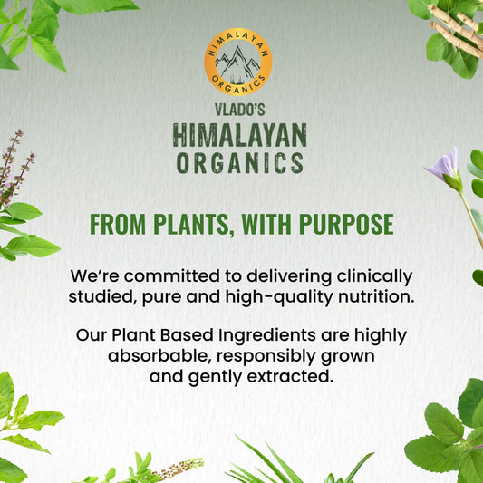 Himalayan Organics Korean Ginseng 800 mg Vegetarian Capsules | Swadesiicart