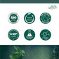Jain Triphala Powder Online