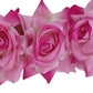 Baby Pink Velvet Rose Gajra