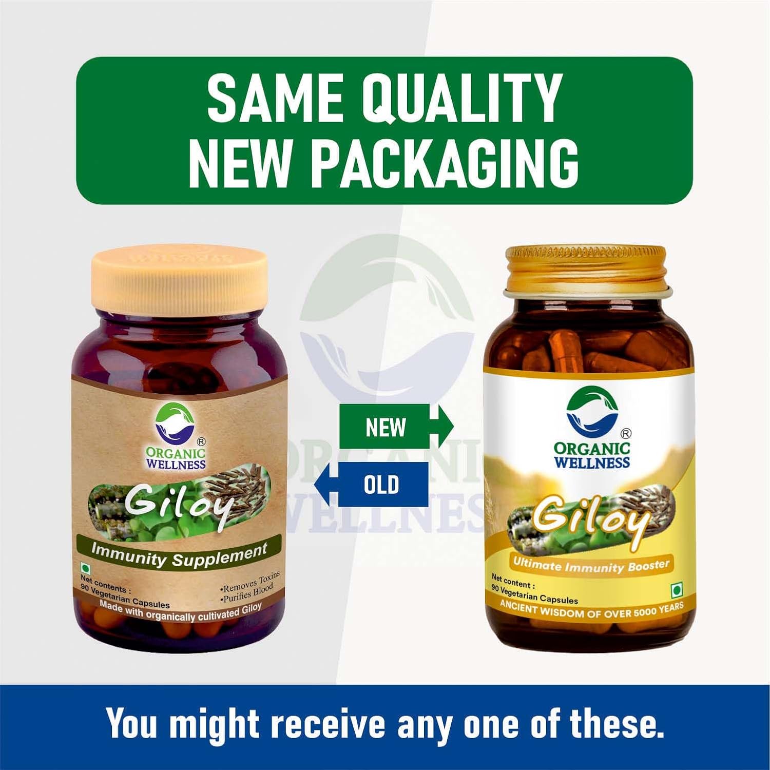 Organic Wellness Giloy Capsules - Swadesiicart