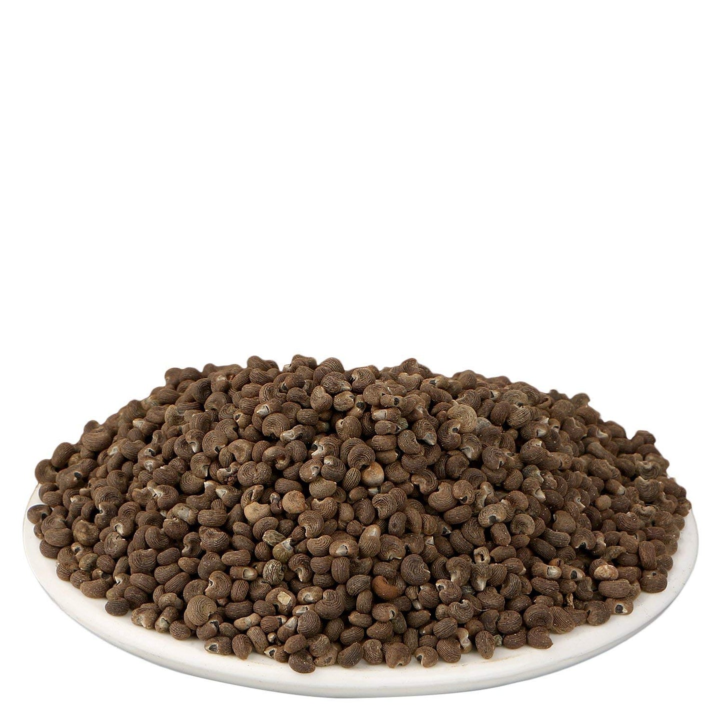 Yuvika Mushk Dana - Ambrette Seeds | Swadesiicart