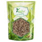 Yuvika Kasni Seeds - Cichorium Intybus - Endive | Chicory | Swadesiicart