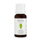 Aroma Treasures Basil (Tulsi) Pure Essential Oil