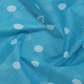 Shades of Sky Blue With Polka Print Munga Cotton Saree By Gayathri Reddy Designer Studio | Swadesiicart