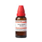 Dr. Willmar Schwabe India Triticum Repens Dilution | Swadesiicart