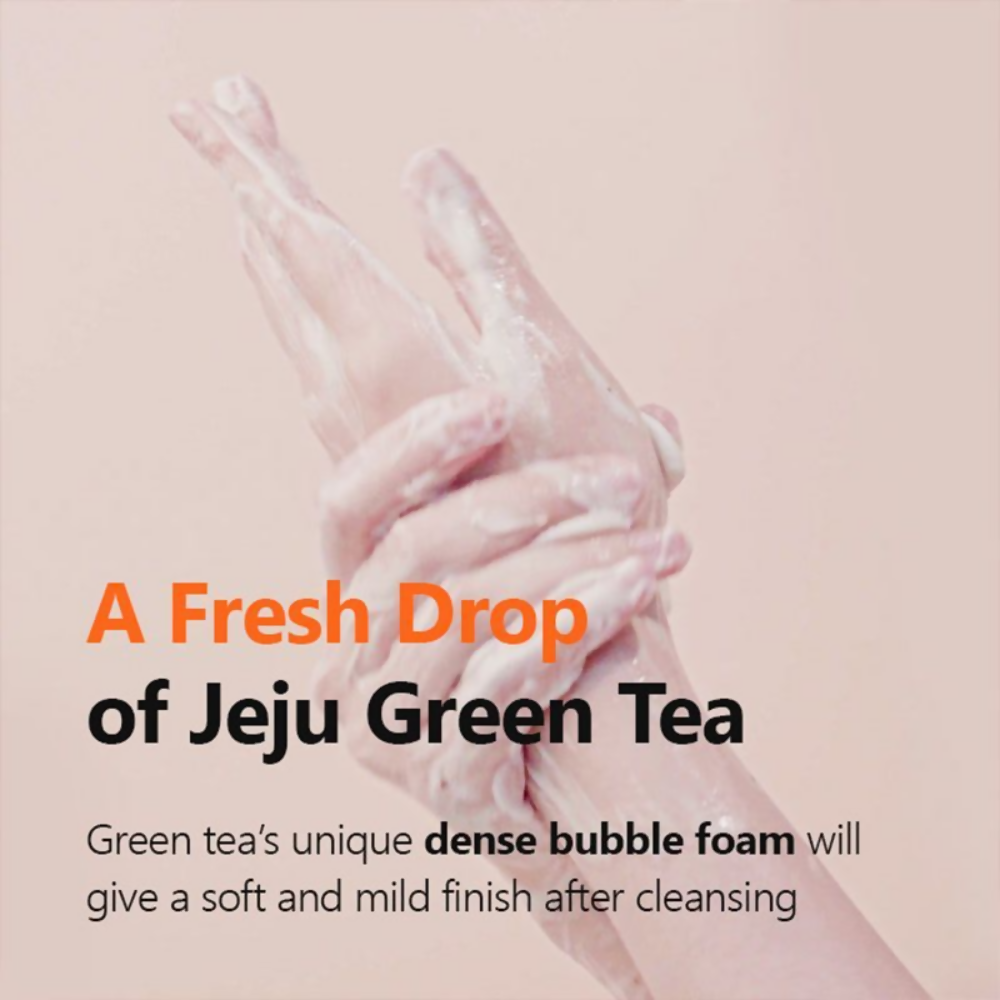 Isntree Green Tea Fresh Cleanser - Swadesiicart