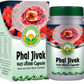Basic Ayurveda Phal Jivak Capsule - Limited Time Offer