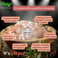 Sanskriti Magic Masala Tawa Pulao Fresh Ready to cook All-in-One Kit - Swadesiicart