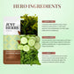 Green Tea Sheet Mask with Mint & Cucumber For Glowing Skin - Pack of 1