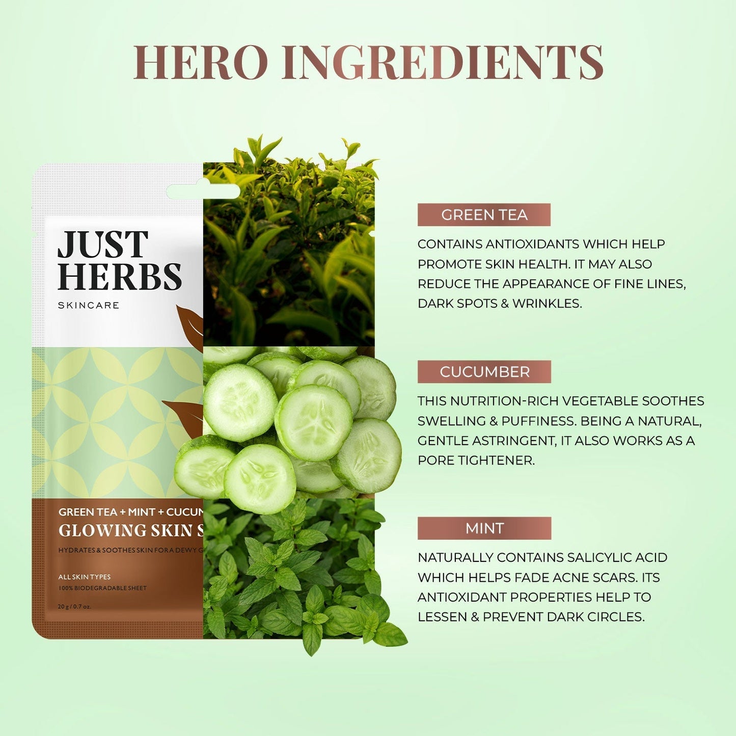 Green Tea Sheet Mask with Mint & Cucumber For Glowing Skin - Pack of 1