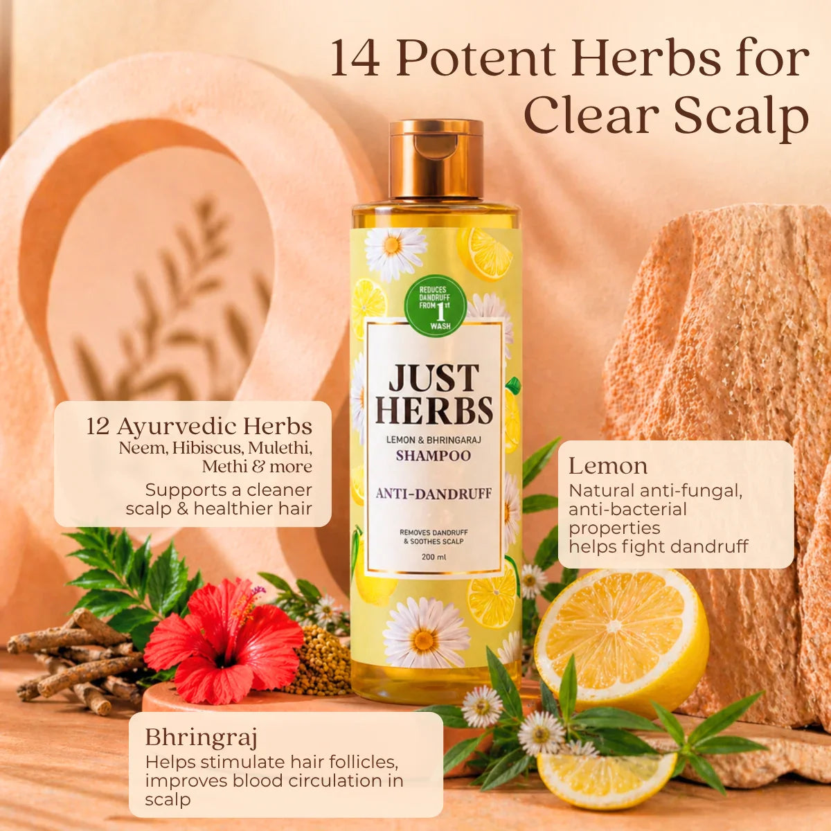 Anti Dandruff Shampoo | Lemon, Bhringraj & 12 Herbs - 200 ml