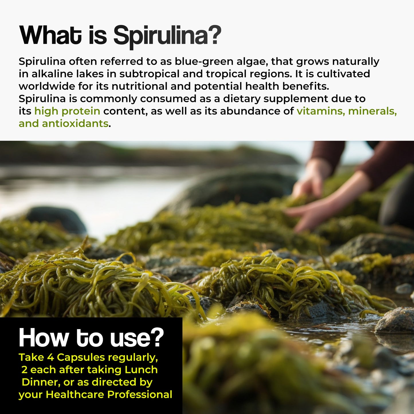 Health Veda Organics Spirulina Capsules - Swadesiicart